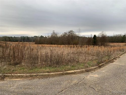 201 S Park Pl, Selma, AL, 36701 | Card Image