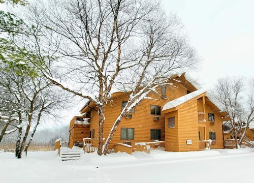 6658 Schuss Mountain Ln, Mancelona, MI, 49659 | Card Image