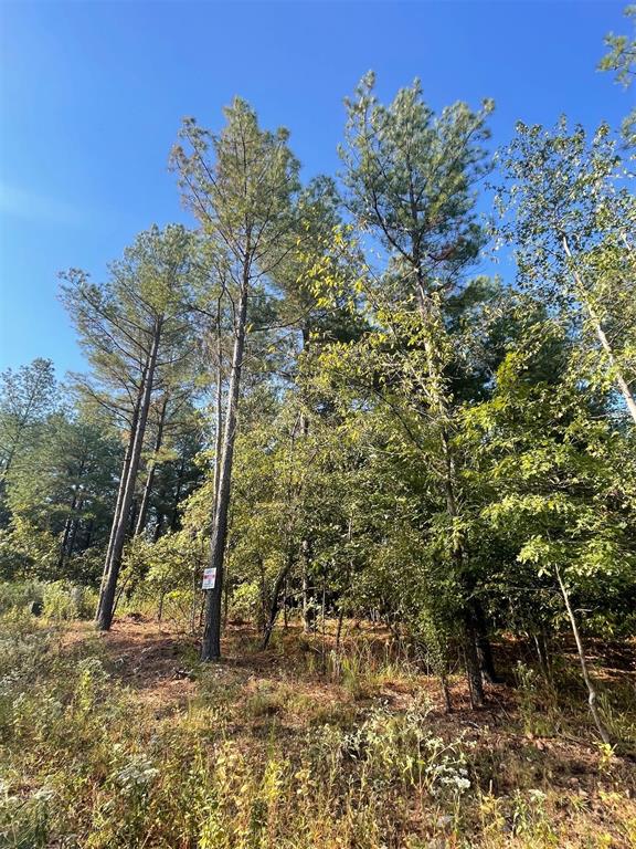 Land in Broken Bow 4