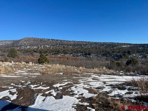 2115 Surface Creek Rd, Cedaredge, CO, 81413 | Card Image