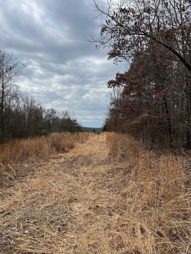 00 Yates Ln, Home with 0 bedrooms, 0 bathrooms and null parking in Tumbling Shoals AR | Image 8