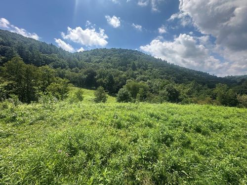 TBD Fox Creek Rd, Mouth of Wilson, VA, 24363 | Card Image