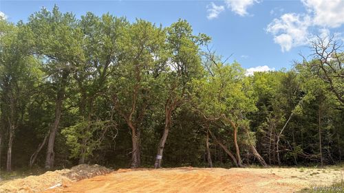 0 State Highway 21 N, Lowndesboro, AL, 36752 | Card Image