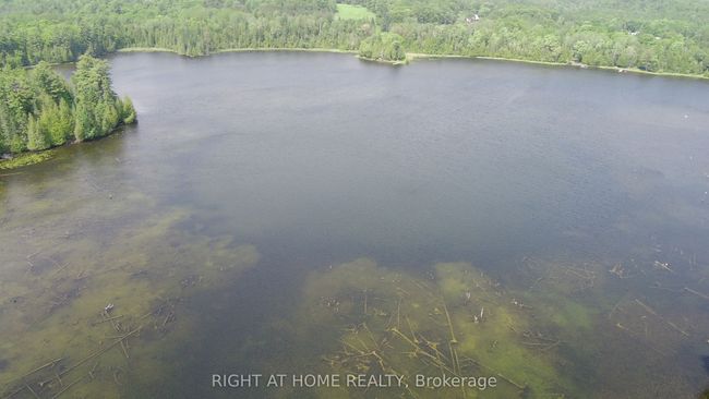129 Loon Cove Trail, Home with 0 bedrooms, 0 bathrooms and null parking in Douglas ON | Image 16