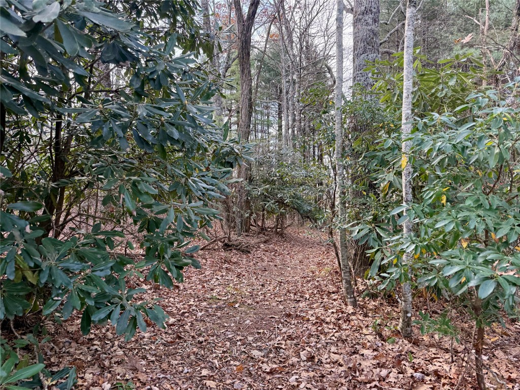 Land in Glenville 5