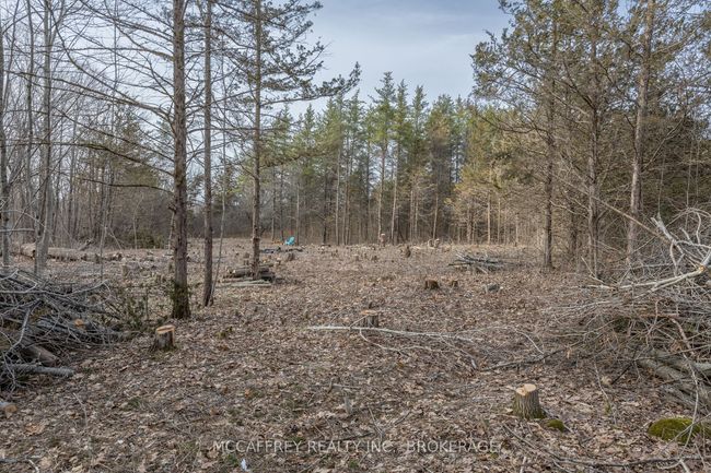 PT 11 Meach Rd, Home with 0 bedrooms, 0 bathrooms and null parking in Greater Napanee ON | Image 7