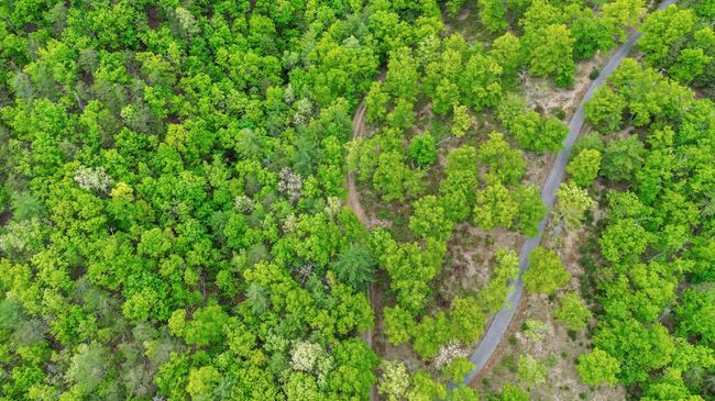 388 Hemlock Ridge Lane, Catawba | Image 85
