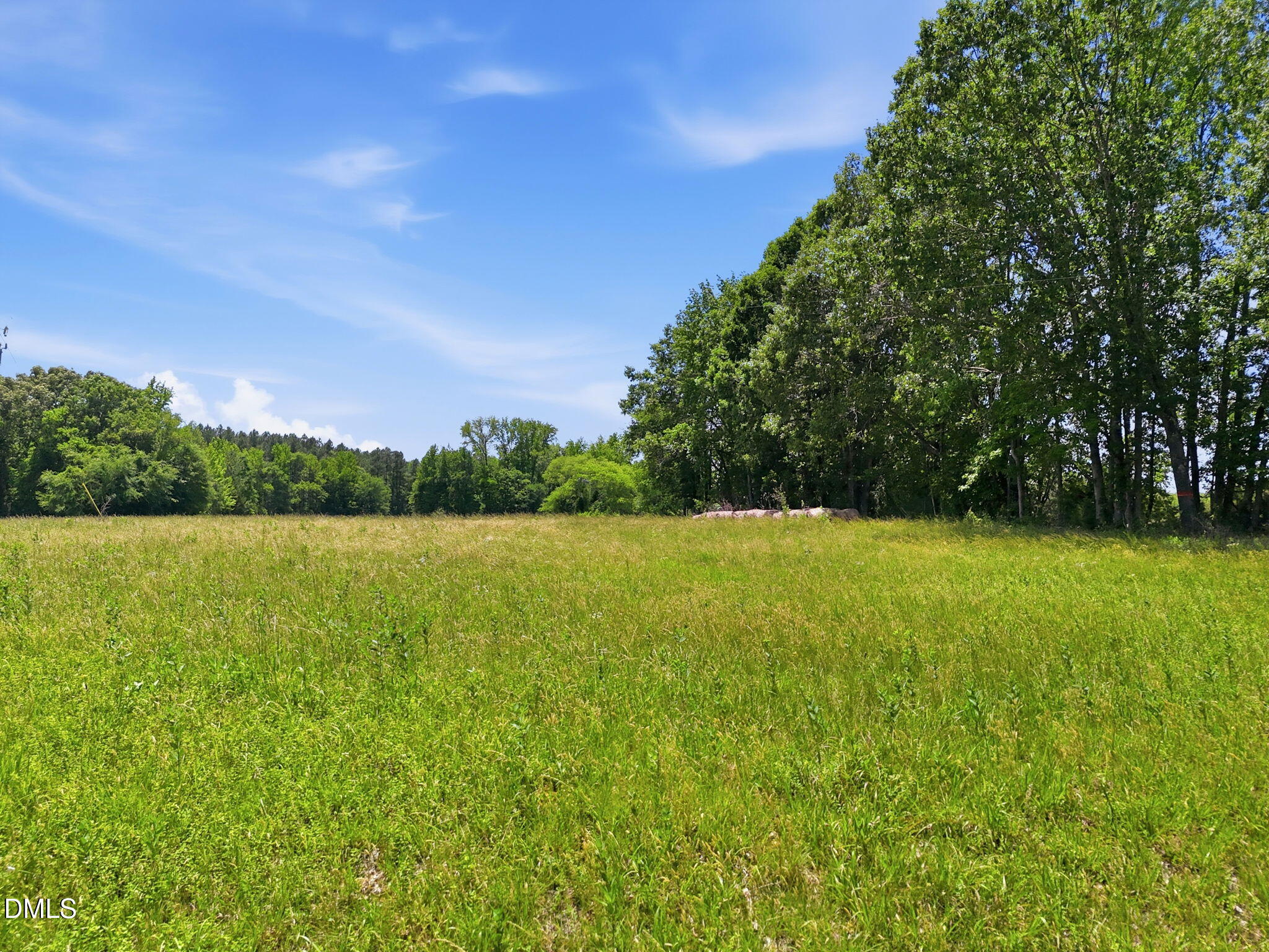 Land in Bullock 5