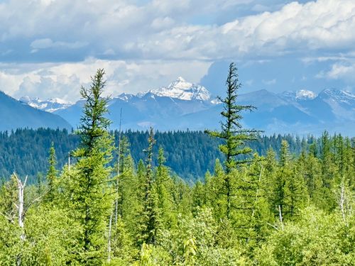 NHN Glacier Hills Dr W, Martin City, MT, 59926 | Card Image
