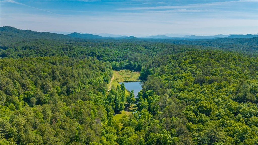 Land in Mineral Bluff 4