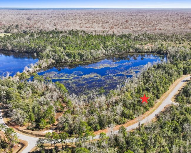 7 Seven Springs Dr, Home with 0 bedrooms, 0 bathrooms and null parking in Wewahitchka FL | Image 6