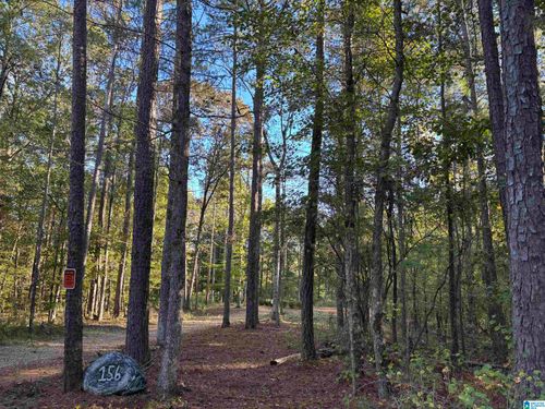 56-156 County Road 606, woodland, AL, 36280-7908 | Card Image