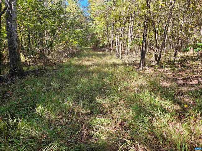 10239 Howardsville Rd, House other with 2 bedrooms, 1 bathrooms and null parking in HOWARDSVILLE VA | Image 39