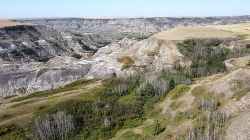 340044 Range Road 215, Morrin, AB, T0J2B0 | Card Image