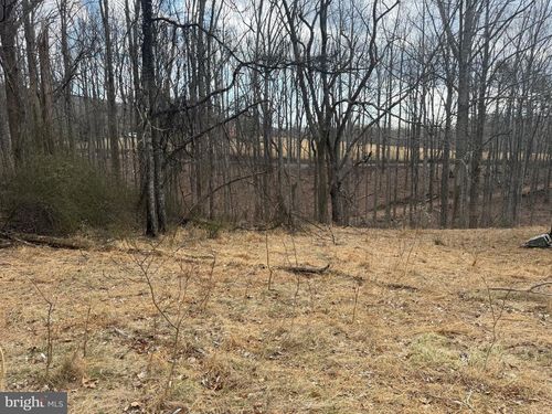 545 Hank Ln, BERKELEY SPRINGS, WV, 25411 | Card Image