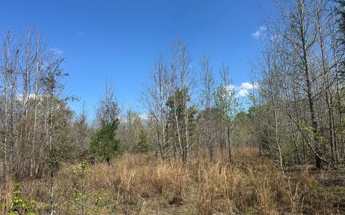 TBD Sw Us Highway 27, Fort White, FL, 32038 | Card Image