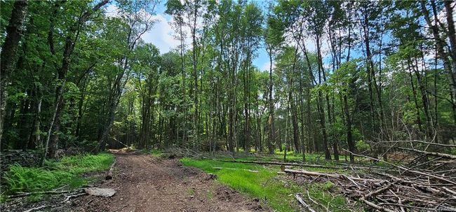 Lot 81.4 County Road 114, Home with 0 bedrooms, 0 bathrooms and null parking in Cochecton NY | Image 5