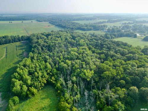 000 E 1575 Ln, Vandalia, IL, 62471 | Card Image