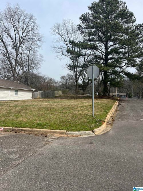lot-24-7401 Naples Avenue, BIRMINGHAM, AL, 35206 | Card Image