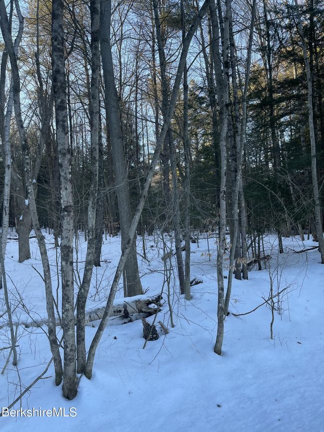 14 Partridge Rd, Home with 0 bedrooms, 0 bathrooms and null parking in Lanesborough MA | Image 6
