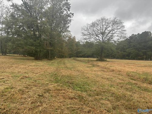 8 acres County Road 301, Trinity, AL, 35673 | Card Image