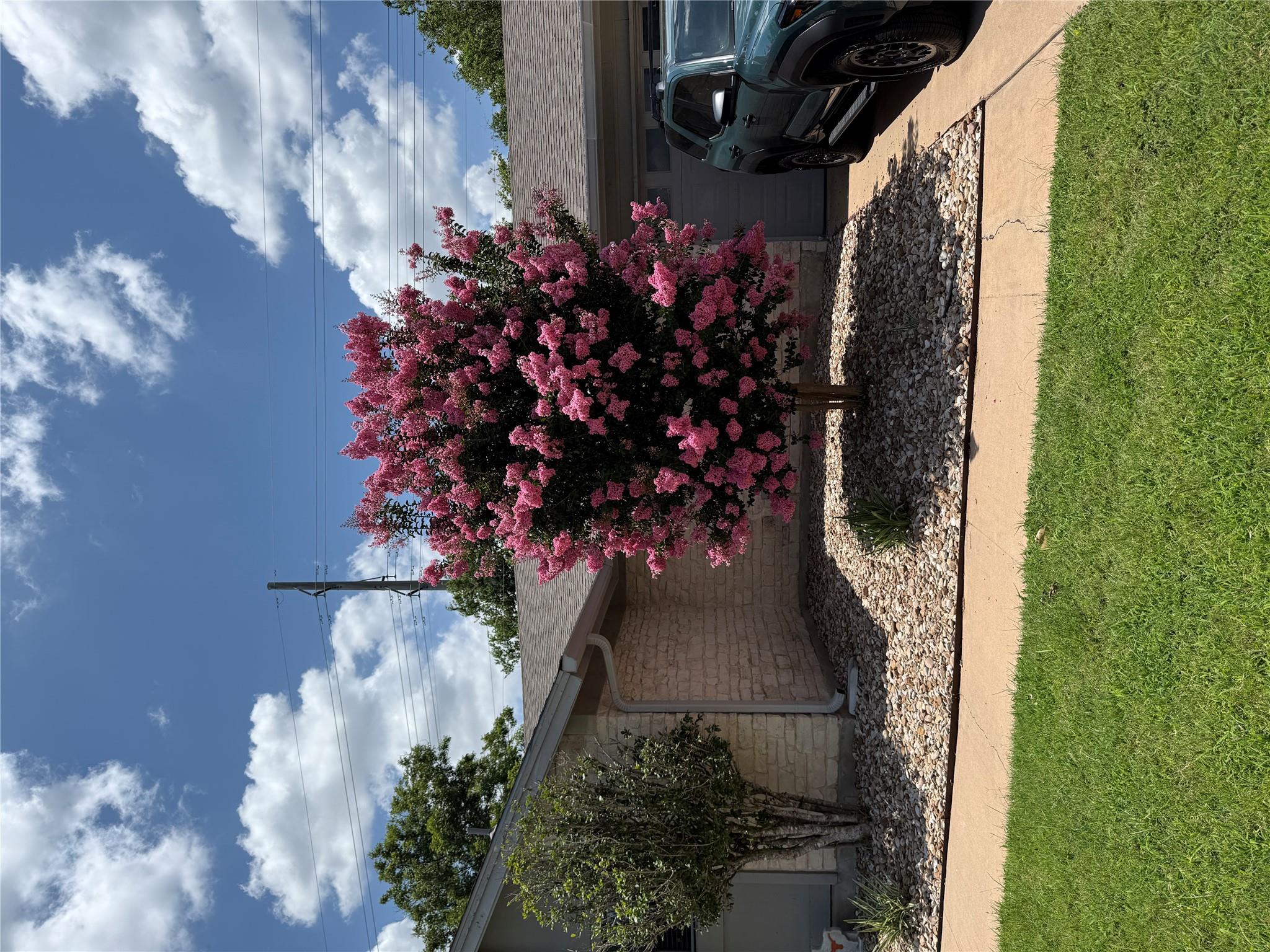 Residential in Round Rock 3