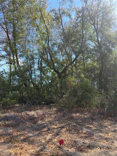 TBD Se 84th Ter, SUMMERFIELD, FL, 34491 | Card Image