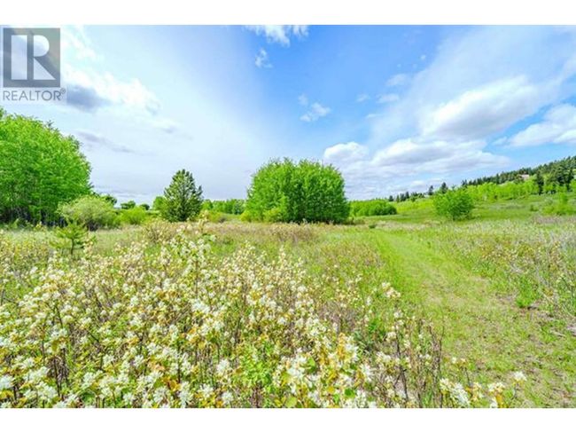 4168 Lac La Hache Station Rd, Home with 0 bedrooms, 0 bathrooms and null parking in Lac La Hache BC | Image 7