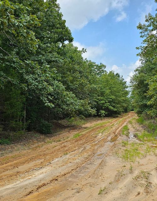 TBD Christine St, Blossom, TX, 75416 | Card Image