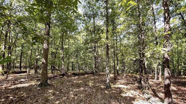 492 Deer Creek Rd, Home with 0 bedrooms, 0 bathrooms and null parking in Kansas OK | Image 5