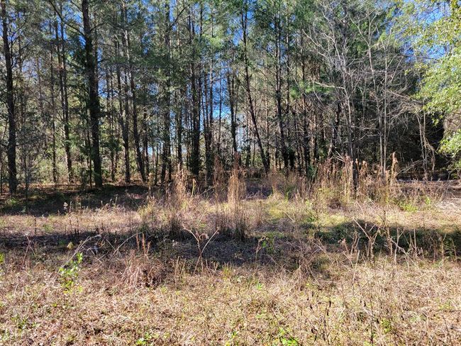 7818 Nw State Rd 45, Home with 0 bedrooms, 0 bathrooms and null parking in HIGH SPRINGS FL | Image 9
