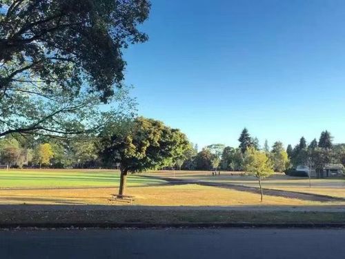 3093 W 29th Ave, Vancouver, BC, V6L1Y5 | Card Image