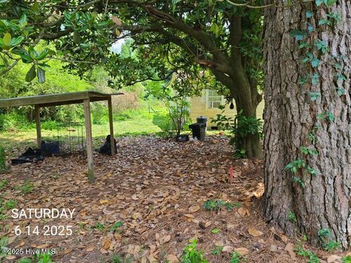 48 Nelson St, Rose Hill, NC, 28458 | Card Image