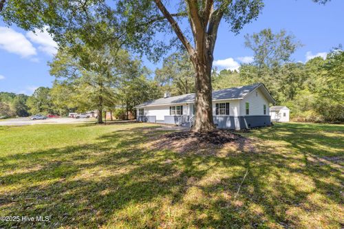 251 Old 87 Rd, Riegelwood, NC, 28456-7098 | Card Image