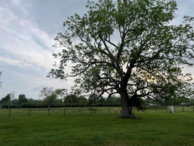 3295 Fm 524 Rd, House other with 3 bedrooms, 3 bathrooms and 2 parking in Sweeny TX | Image 12