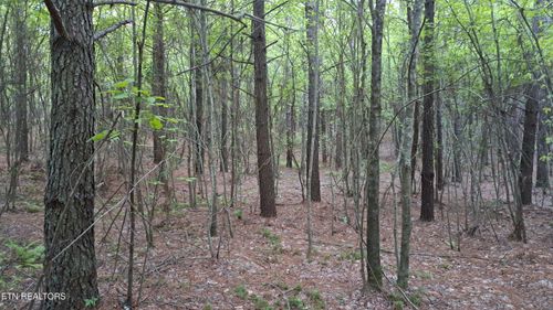 Lot 22 Airport Rd, Rockwood, TN, 37854 | Card Image