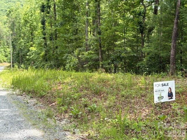 Land in Lake Lure 2