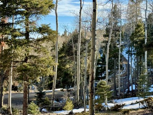 90 Zia Rd, Angel Fire, NM, 87710-8307 | Card Image