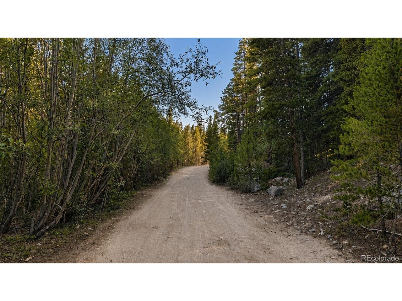 Land in Idaho Springs 5