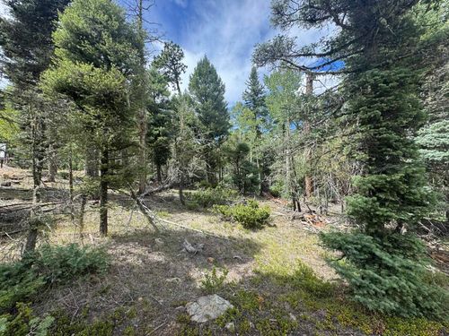 Lot 828 San Felipe Cir, Angel Fire, NM, 87710 | Card Image