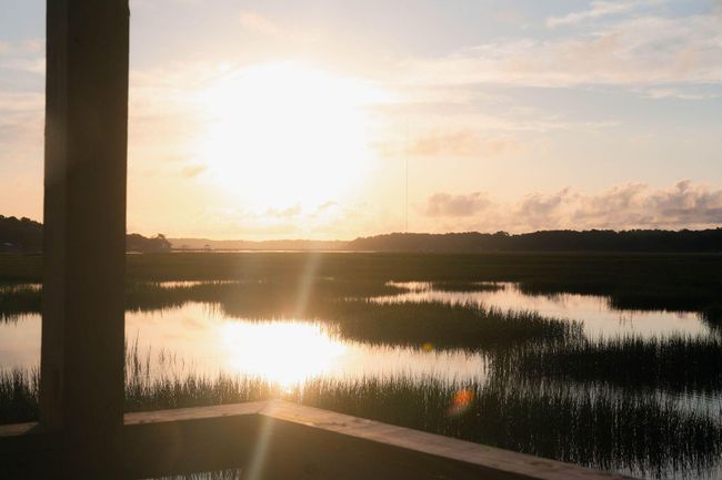 marsh pic | Image 69