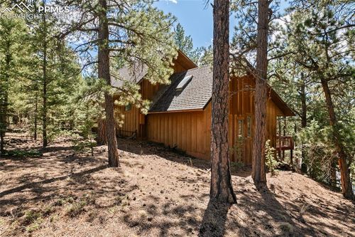 756 Spring Valley Drive, Divide, CO, 80814 | Card Image