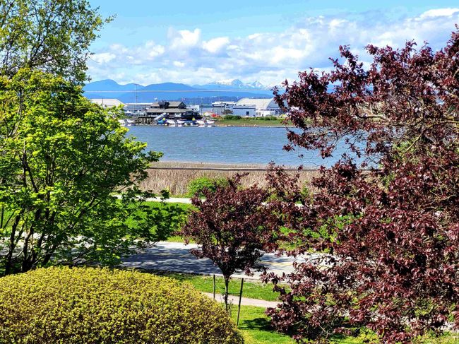 218 - 5500 Lynas Lane, Condo with 2 bedrooms, 2 bathrooms and 2 parking in Richmond BC | Image 13