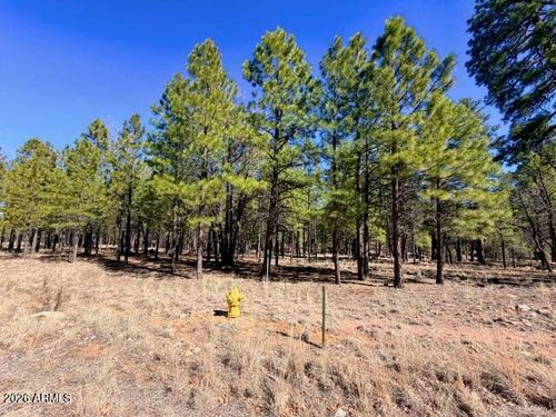 170-1921 Pine Canyon Drive, Happy Jack, AZ, 86024 | Card Image