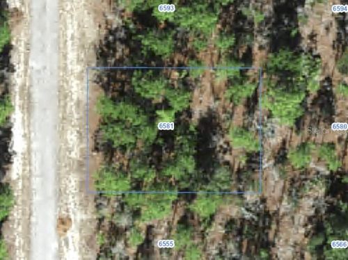 6581 N Winlock Ter, CITRUS SPRINGS, FL, 34433 | Card Image