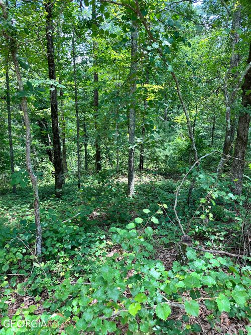 LT1719 Rebekah Ridge Rd, Talking Rock, GA, 30175 | Card Image