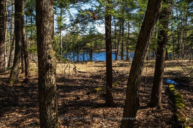 24 Webber Island N/A, Home with 0 bedrooms, 0 bathrooms and null parking in Georgian Bay ON | Image 4