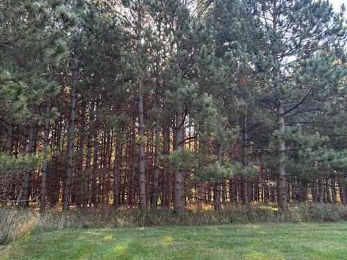 xxx Emerald Court Ne, Carlos, MN, 56319 | Card Image