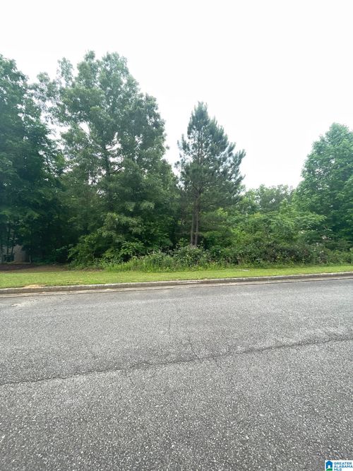 36-0 Cody Cir, SPRINGVILLE, AL, 35146 | Card Image