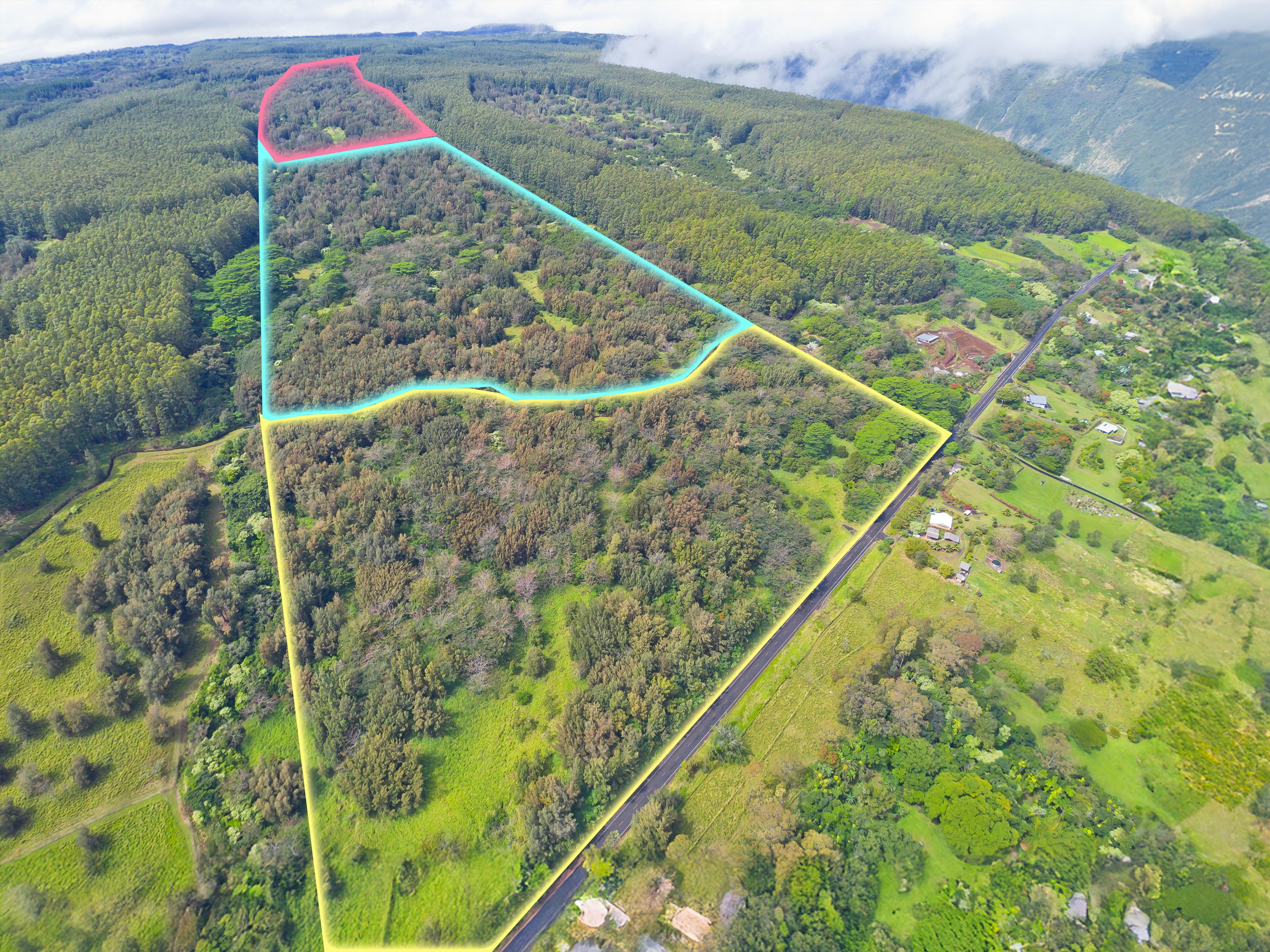 Land in Honokaa 2
